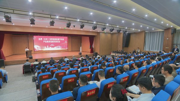 大牛时代 长丰打造全球新能源汽车产业高地