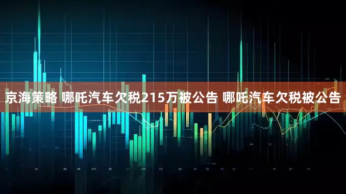 京海策略 哪吒汽车欠税215万被公告 哪吒汽车欠税被公告