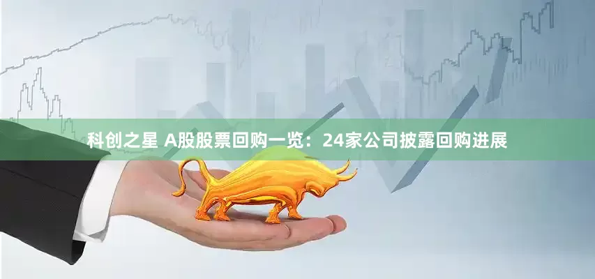 科创之星 A股股票回购一览：24家公司披露回购进展