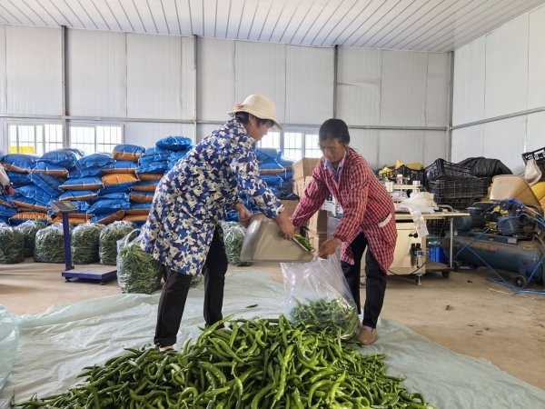 智慧优配 四中全会精神在基层 | “三股绳”拧成一道力