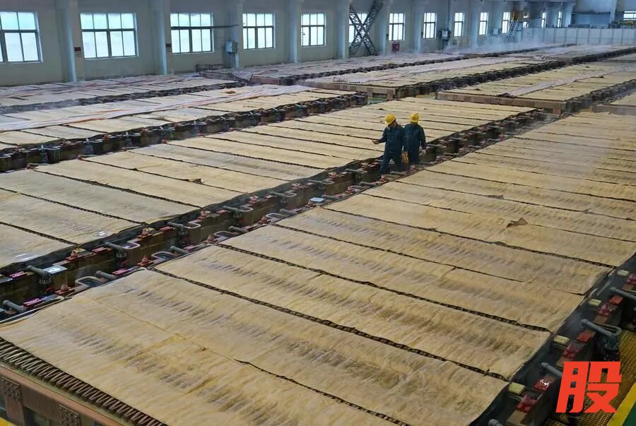 在江铜集团贵溪冶炼厂智能化电解车间,工人查看铜板的电解情况(2026年1月21日摄)。新华社记者万象 摄
