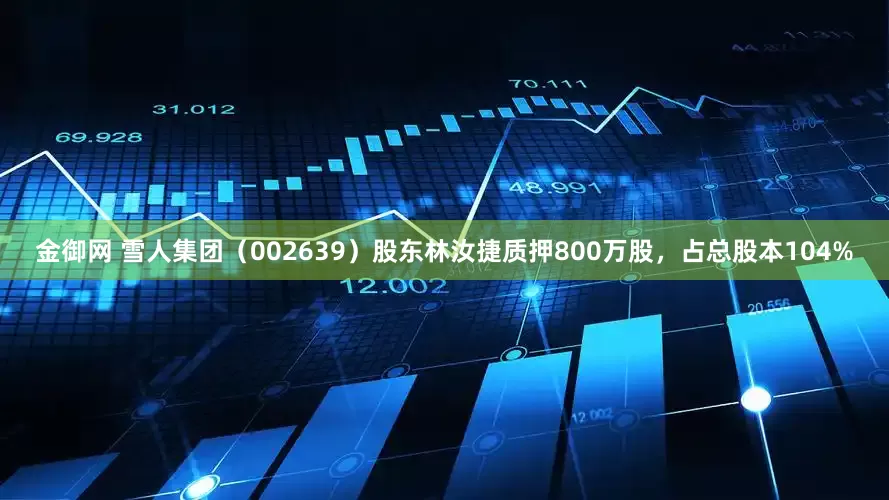 金御网 雪人集团（002639）股东林汝捷质押800万股，占总股本104%